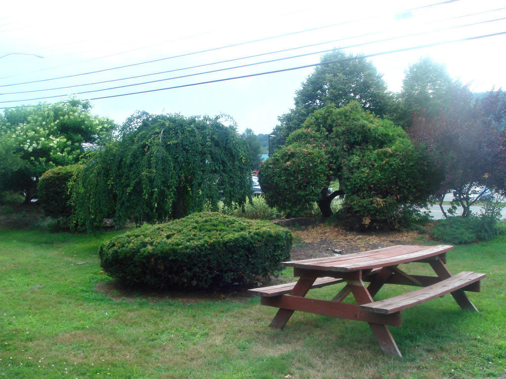 The Black Mountain Inn แบรตเทิลโบโร ภายนอก รูปภาพ